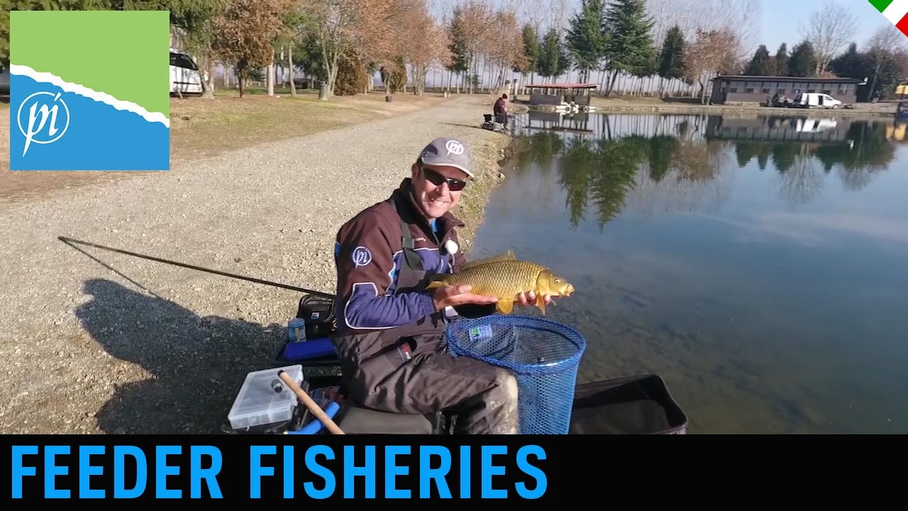 FEEDER FISHERIES