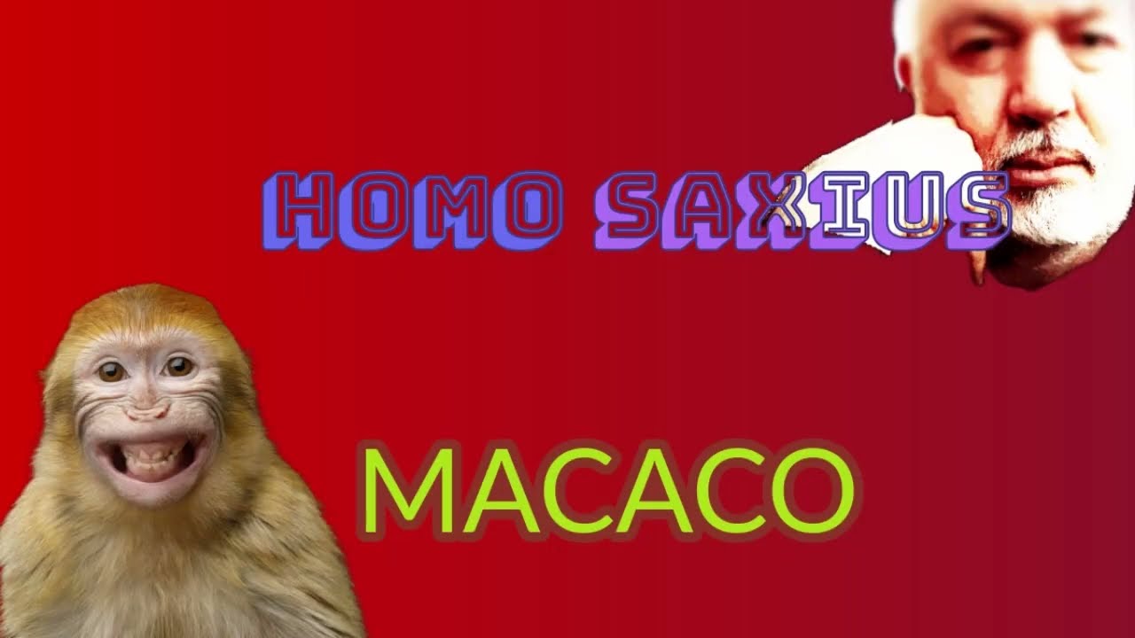 MACACO