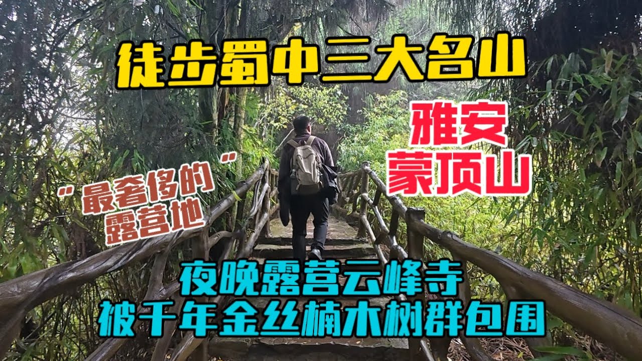 徒步蜀中三大名山雅安蒙頂山，夜晚露營雲峰寺，被千年金絲楠木樹群包圍，我住過最「奢侈」的露營地！