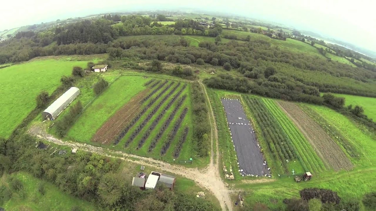 Fergal Smith - Seeds Of Change | Growing Episode 19