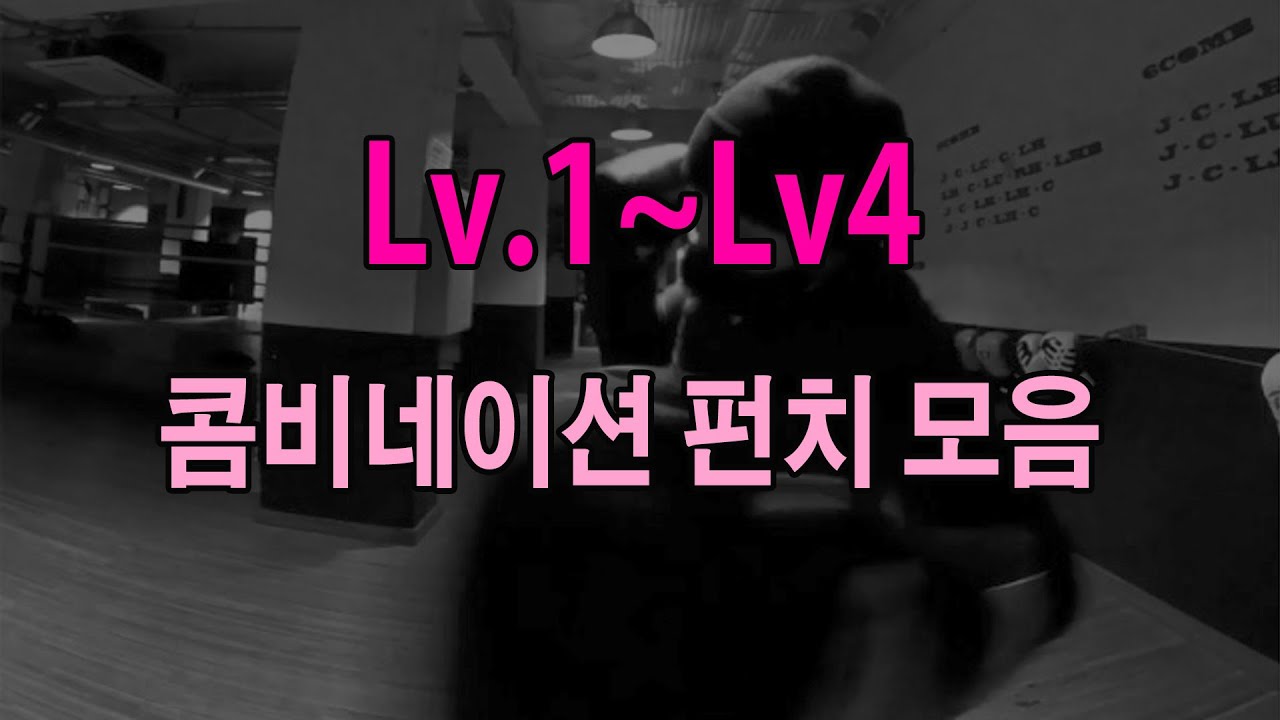 Lv.1~Lv.4 콤비네이션 펀치 모음_ 타투복싱 _ Boxing Combination Punch Drill