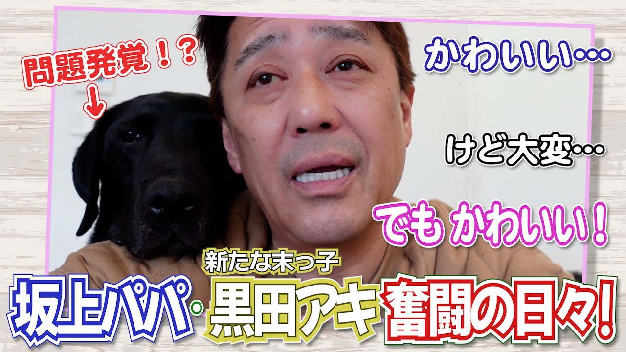 新たな兄弟・黒田アキ、ただいま奮闘中！　〜アキくんと坂上パパの日常〜