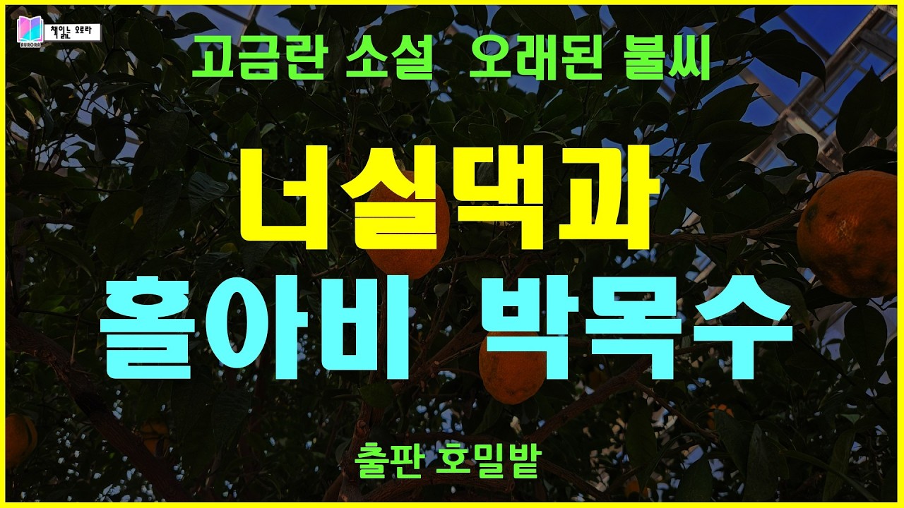 홀아비 박목수와 그렇고 그런 사이인 너실댁, 그리고 반천댁 이야기 | 오래된 불씨 - 고금란 단편소설 | 오래된 불씨 - 출판 호밀밭 | 책읽는오로라