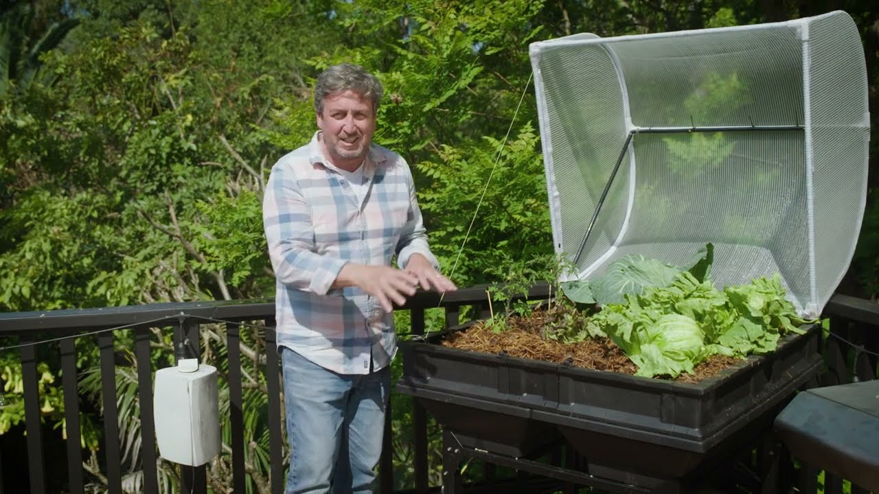 Vegepod: A Space Saving Solution to Home Grown Food as Featured on The Garden Gurus – Episode #10