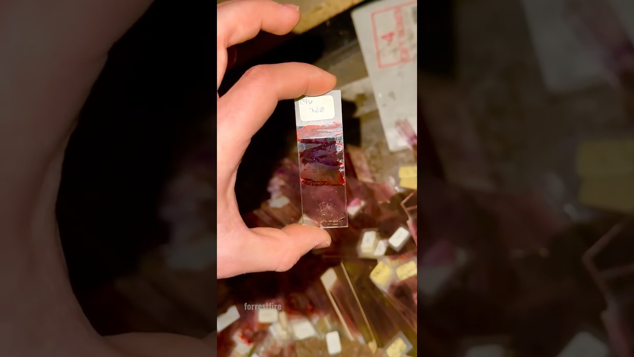 17+ Content Warning!