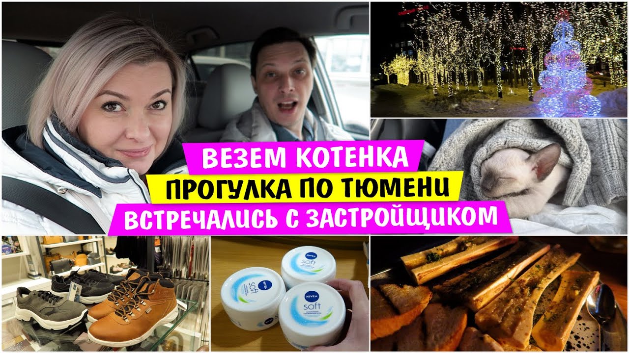 Встречались с ЗАСТРОЙЩИКОМ / Везем КОТЁНКА / Прогулка по ТЮМЕНИ / Vika Siberia LifeVlog