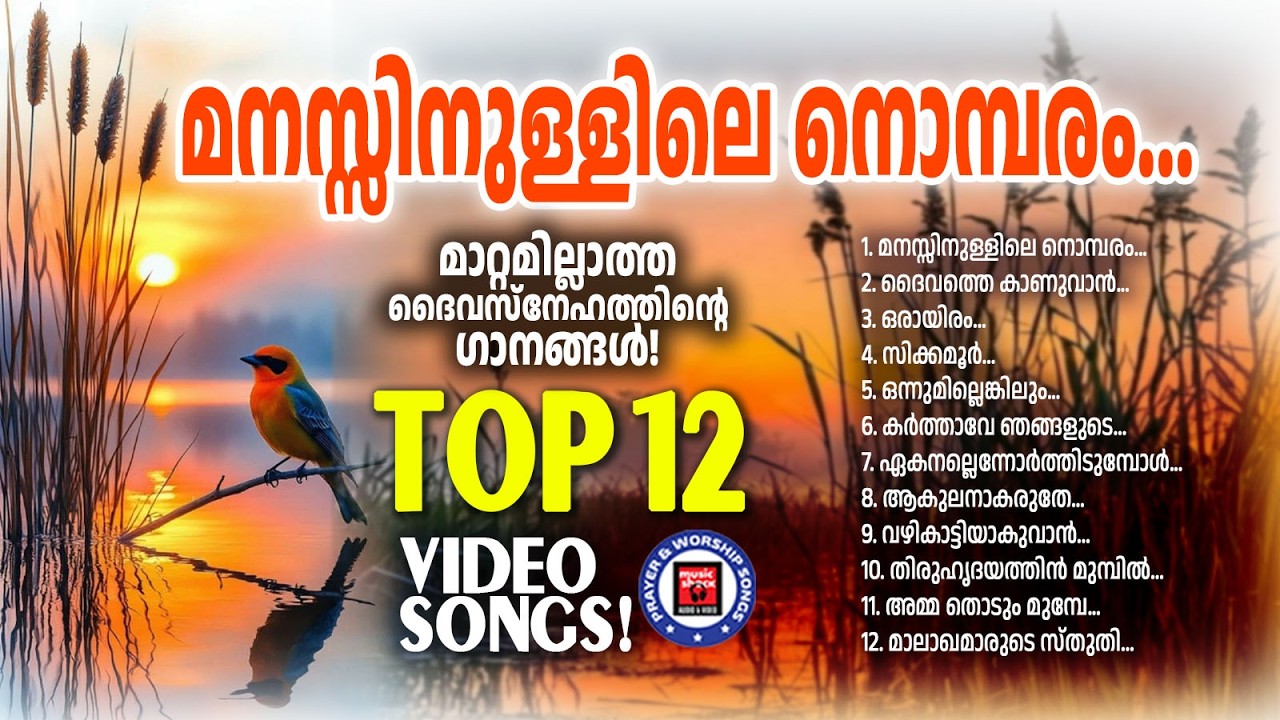 മാറ്റമില്ലാത്ത ദൈവസ്നേഹത്തിന്റെഗാനങ്ങൾ |Christian Video Songs Malayalam | Manoj Christy | Joji Johns