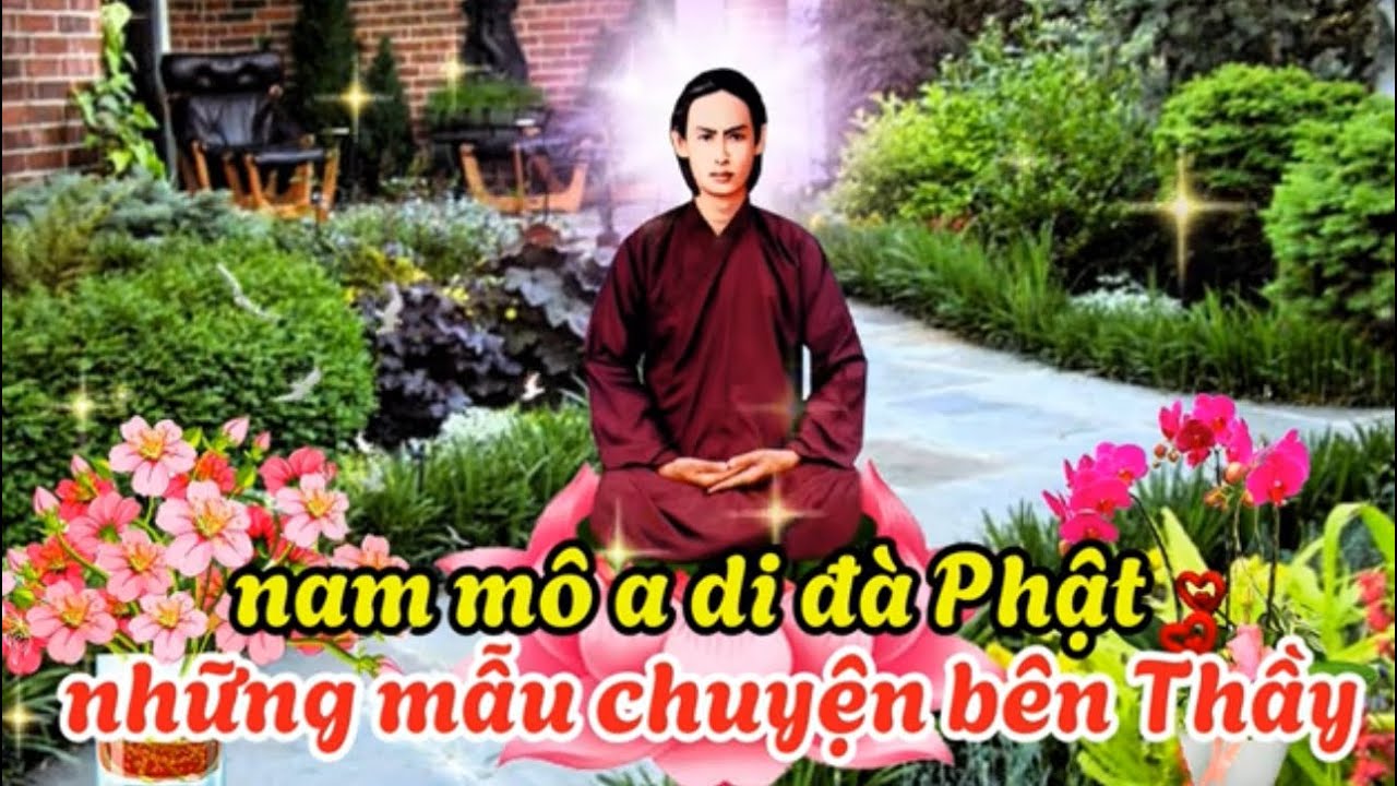 Chuyện bên Thầy phần tiếp theo P7 PGHH#chuyenbenthay #pghh #phatphap #duchuynhgiaochu #hoahau