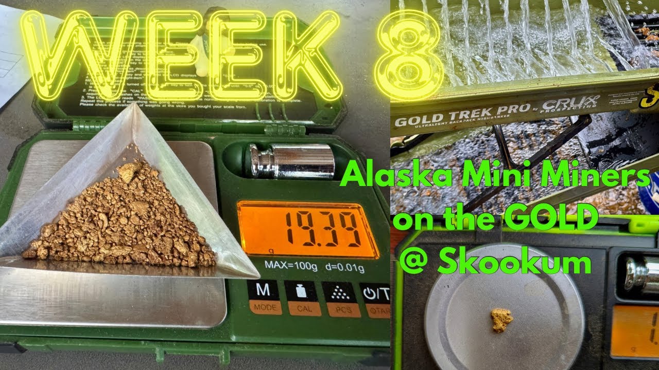 More CHUNKY GOLD..! Week 8 and on the Gold here at Skookum Gold Camp #chunkygold  #goldprospecting  