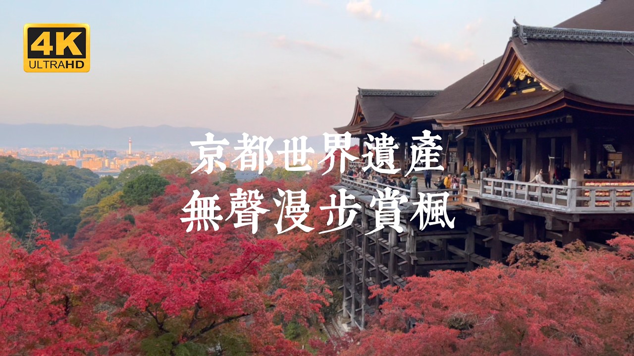 【京都一人旅 EP45】紅葉旺季的無聲之旅！在靜謐中重新感受京都四間世界遺產｜醍醐寺、清水寺、高山寺、東寺｜「京都賞楓指南」電子書無料下載中！