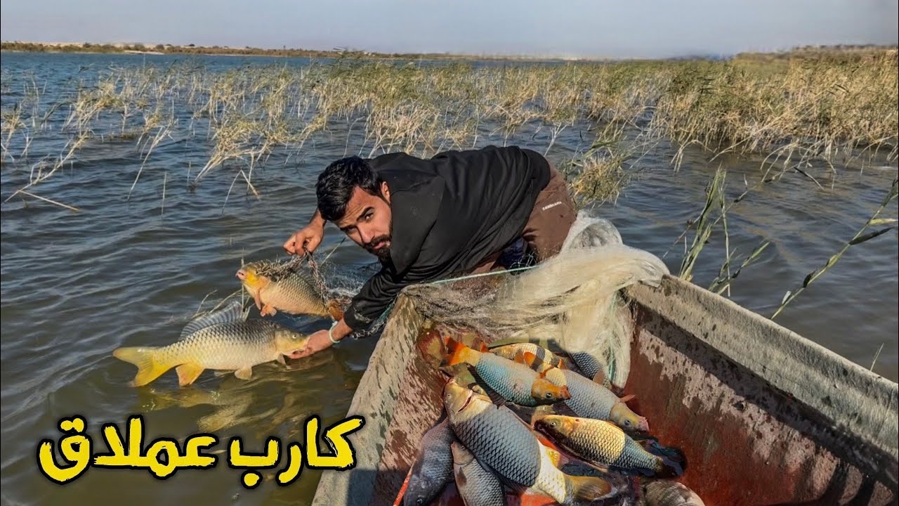 صيد الاسماك بأعداد كبيرة كل سمتية 4 كيلو