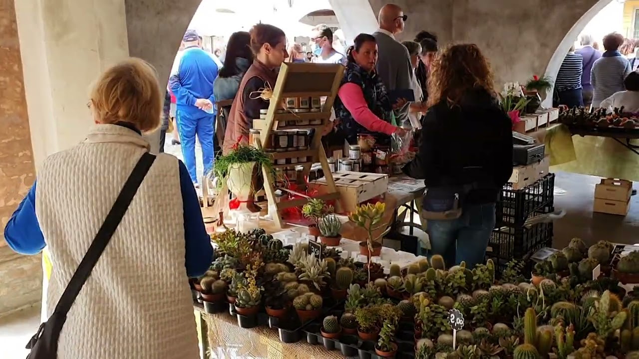 Borgo in Fiore, successo a Castelponzone, 2 maggio 2022