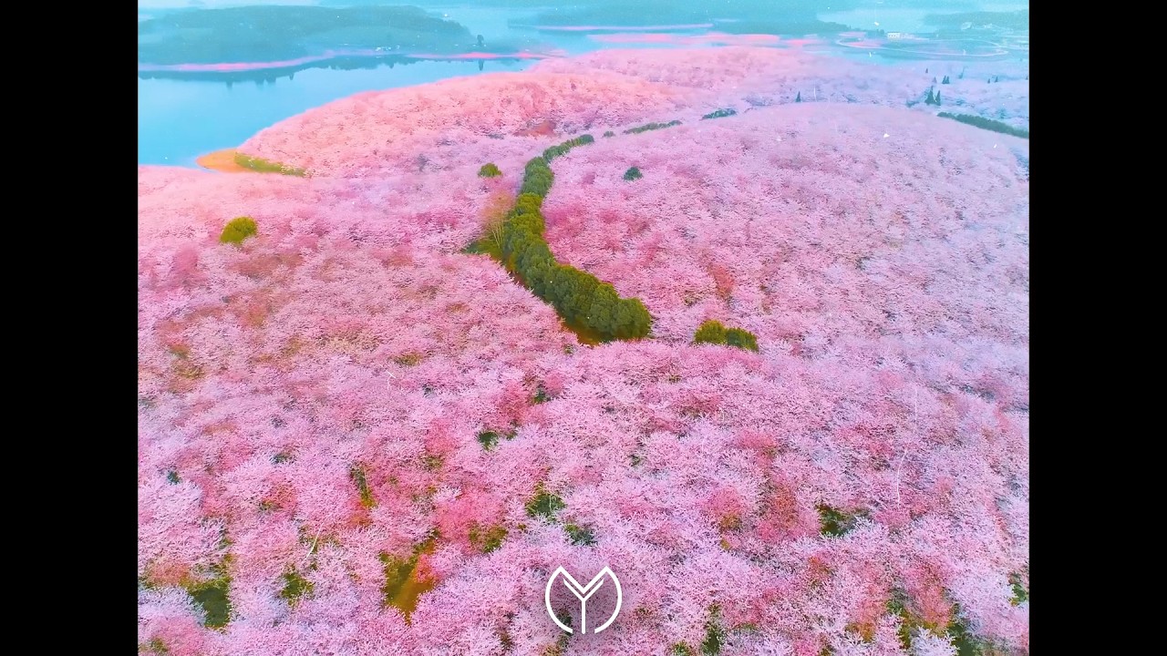 Jul x Josas Type beat - 