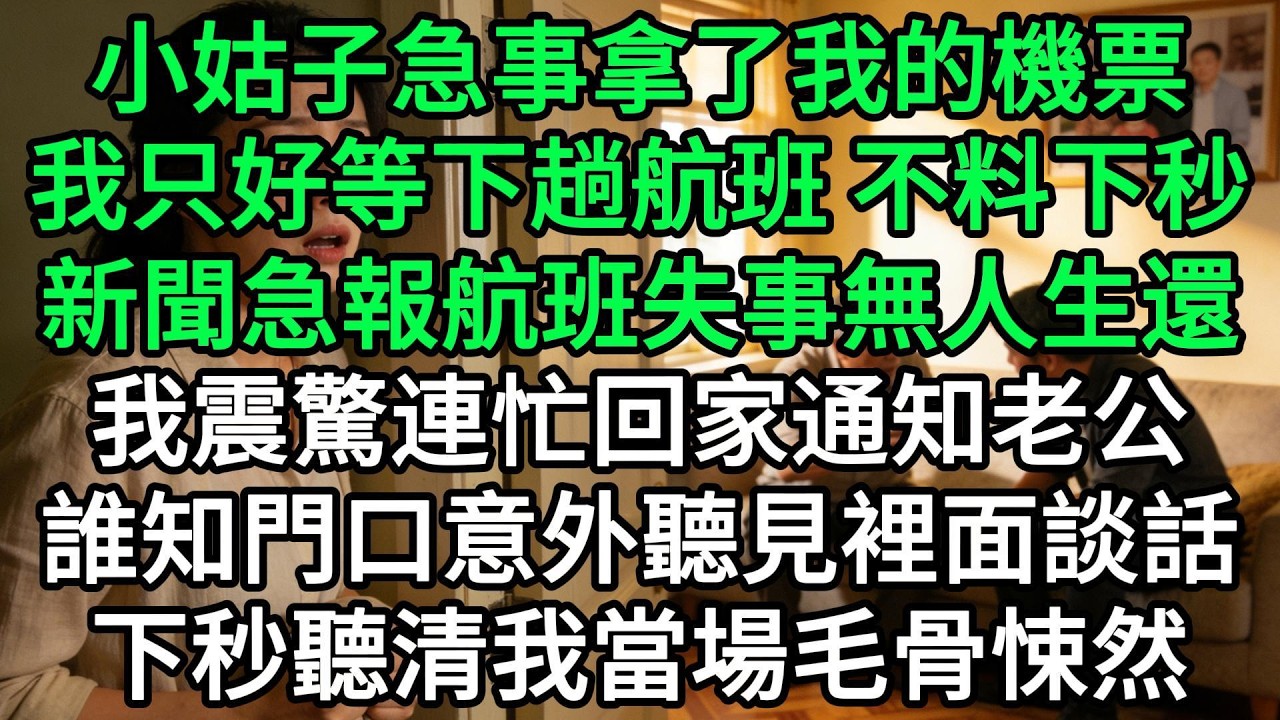 小姑子急事拿了我的機票，我只好等下趟航班 不料下秒，新聞急報航班失事無人生還，我震驚連忙回家通知老公，誰知門口意外聽見裡面談話，下秒聽清我當場毛骨悚然#生活經驗#家庭情感