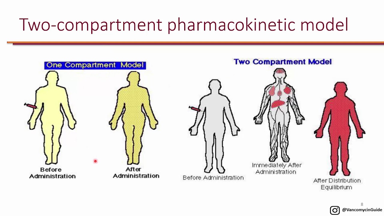 PK-PD of Vancomycin LO 1