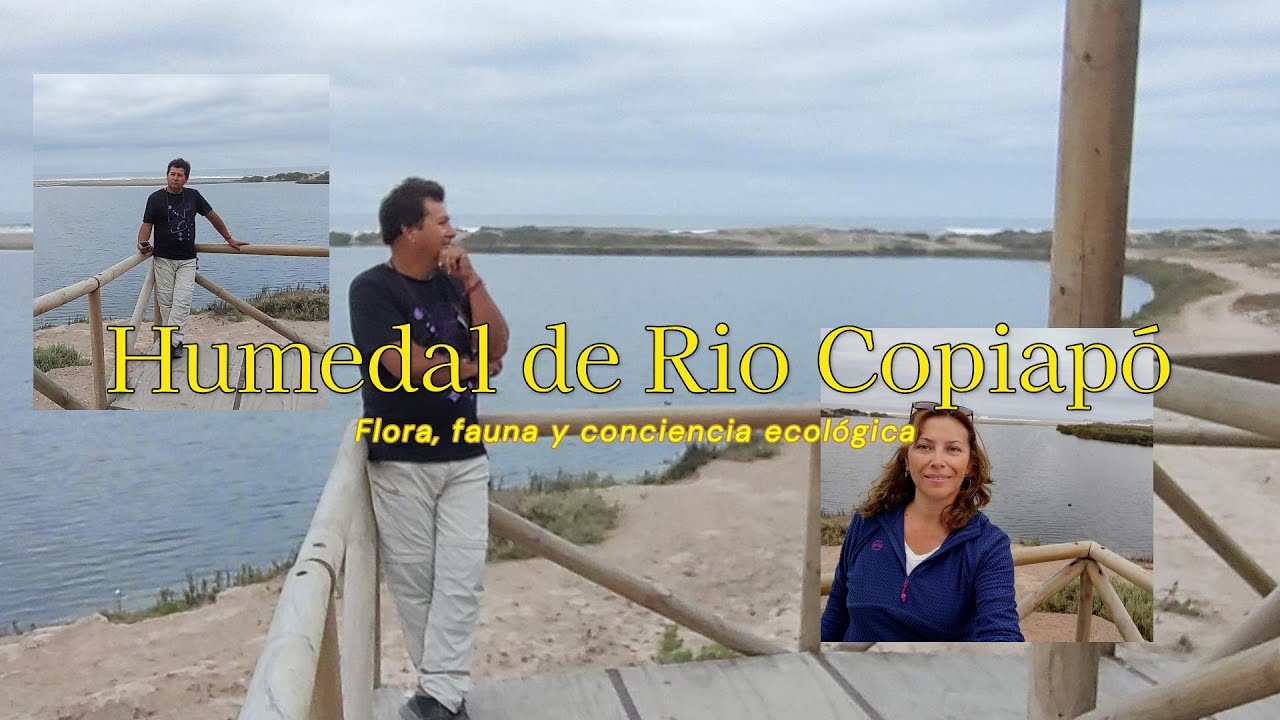 Explorando el Humedal del Río Copiapó: Flora, fauna y conciencia ecológica