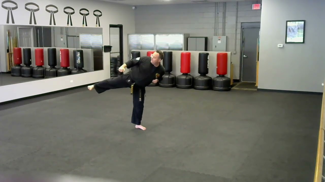 Purple & Blue Belt Form - Shin Gin Hyung Side View