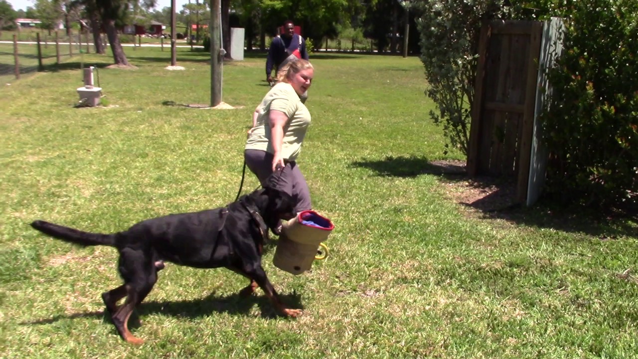 ARC Beaucerons - Luke working in protection