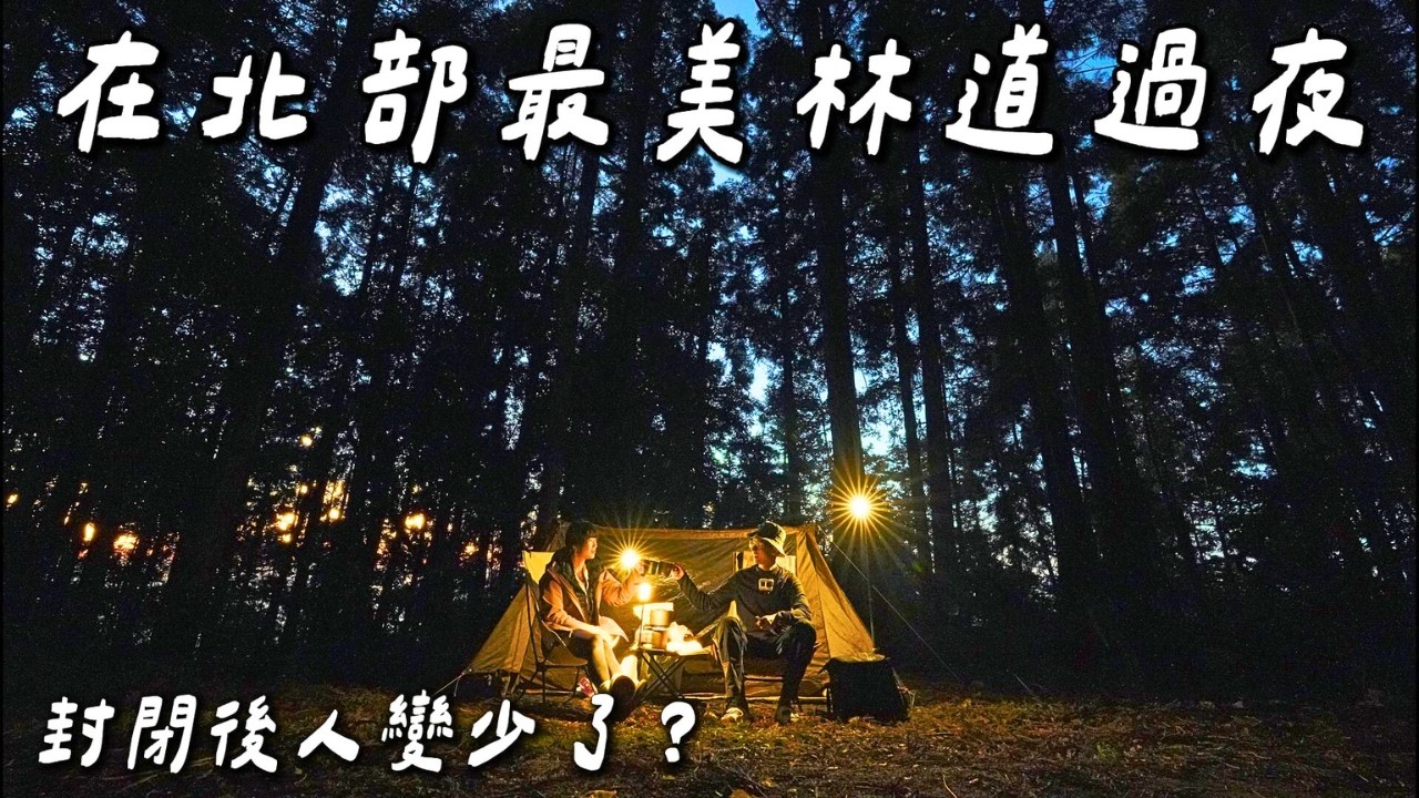 【羅山林道】北部最值得去野營的林道，這個位子最棒！帶你走進8K深處｜油羅山3個登山口開箱