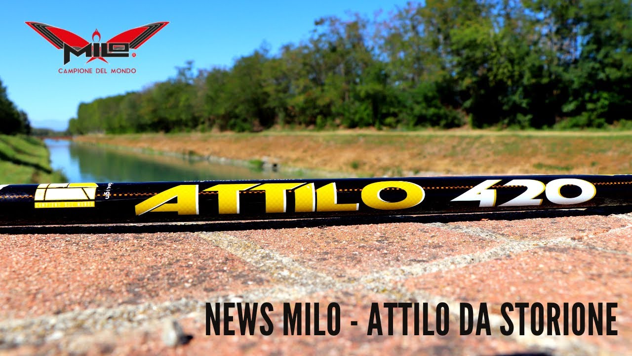 MILO NEWS - Canna da Storioni ATTILO