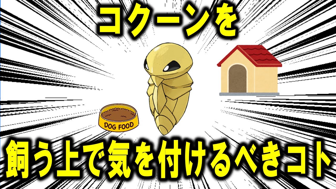 コクーンを飼育するうえで気を付けるべきコト4選！！【ポケモン解説】