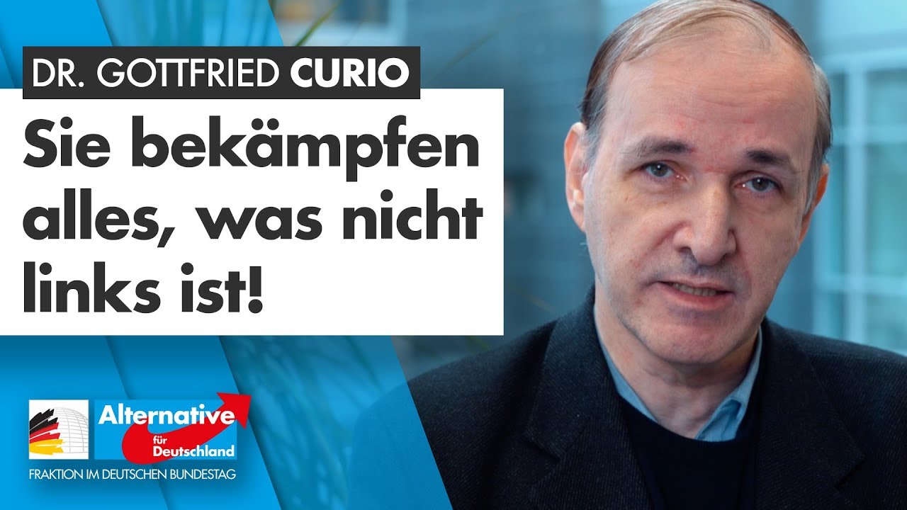 Sie bekämpfen alles, was nicht links ist! - Dr. Gottfried Curio - AfD-Fraktion im Bundestag
