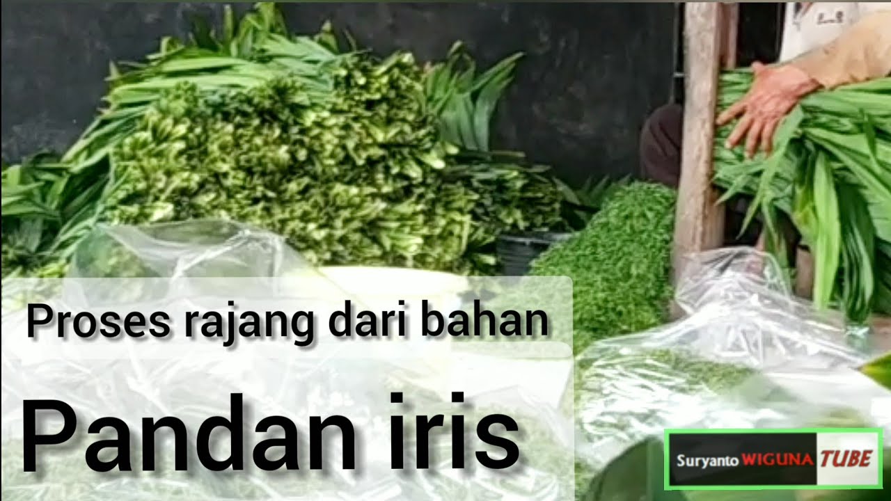 Berkah Munggahan | Proses Iris / Rajang Pandan (Faster Skill)
