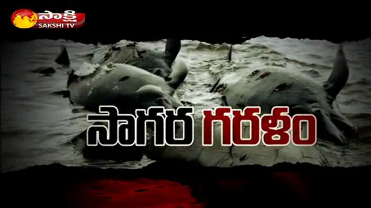 Drought to The Protection of Aquatic Life || Sakshi Magazine Story