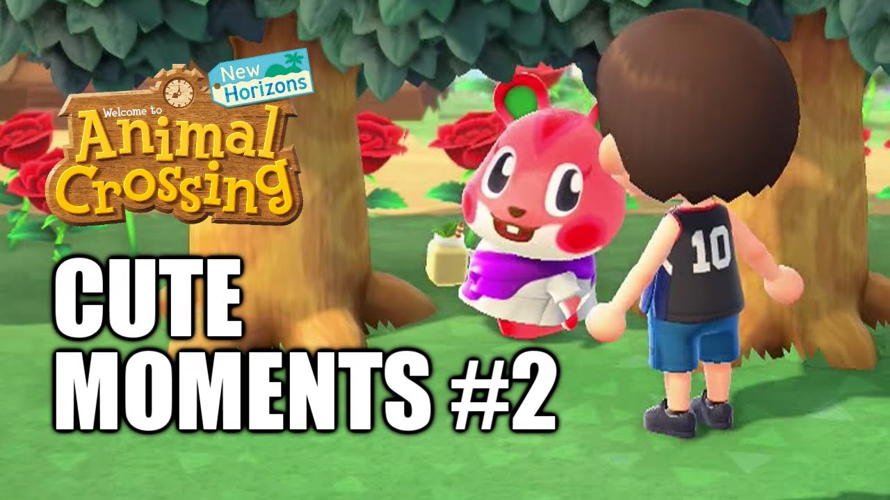 Cute Moments #2 / Animal Crossing: New Horizons