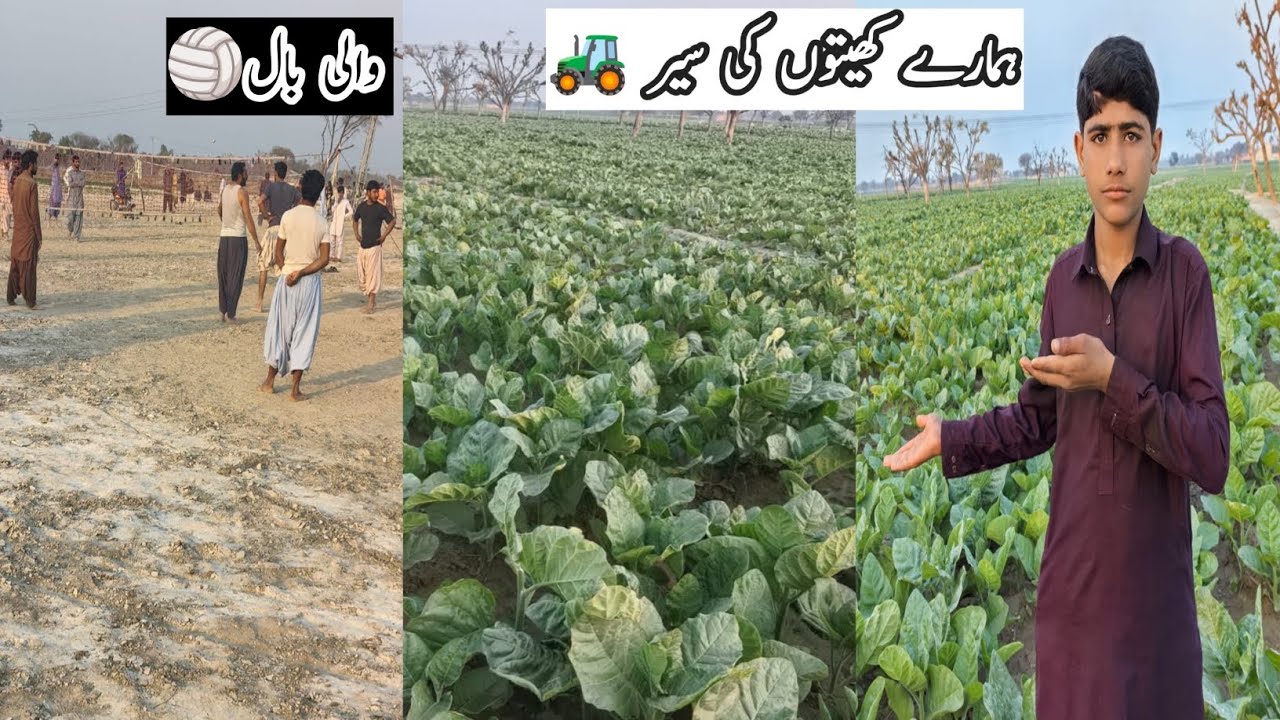 Tour Of Our Farms | #chotyvloger #fyp #viral #farmingvideos 