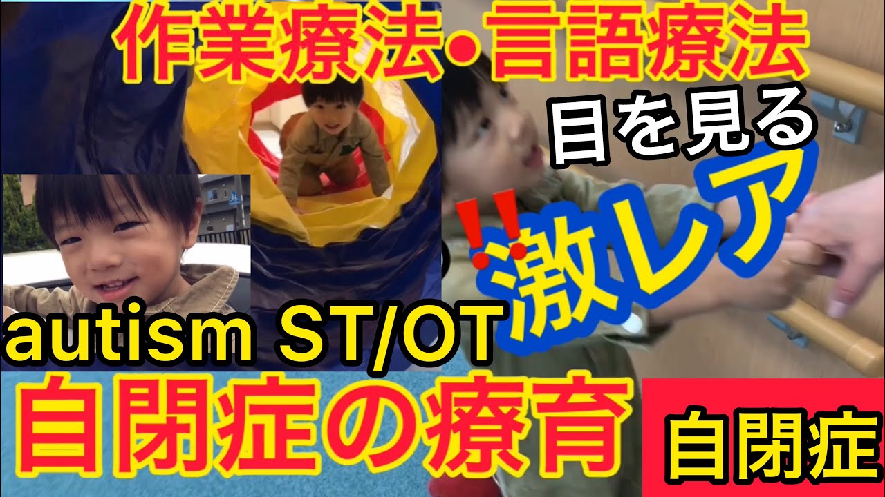 【自閉症療育】ASD autism 言語療法ST 作業療法OT 激レア療育トレーニング風景
