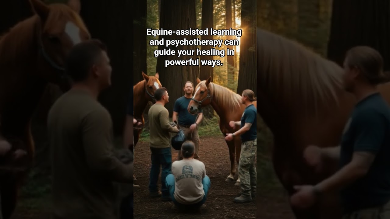 #equineassistedlearning, #motivation, #healing