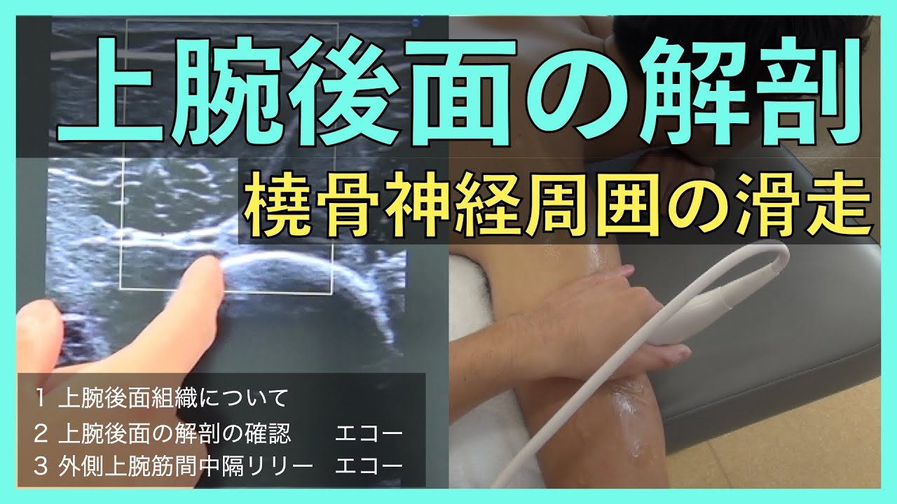 【橈骨神経】外側上腕筋間中隔のリリース