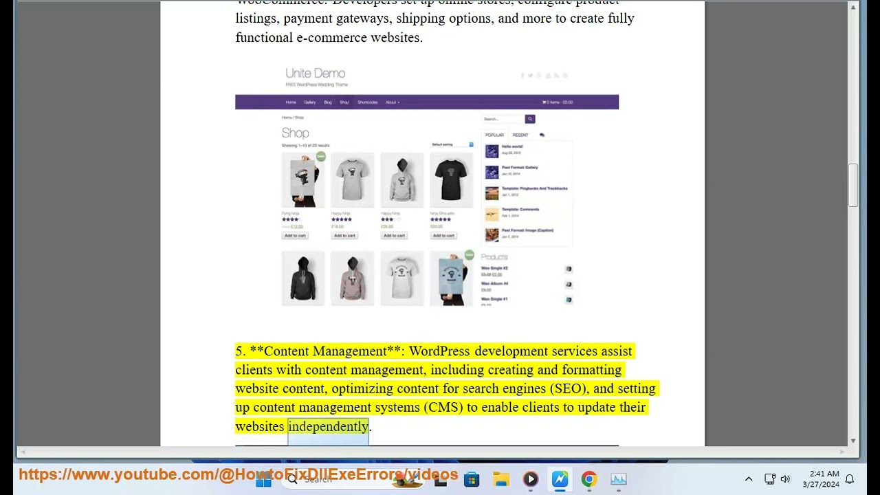 WordPress website development services 101: wordpress development agency?