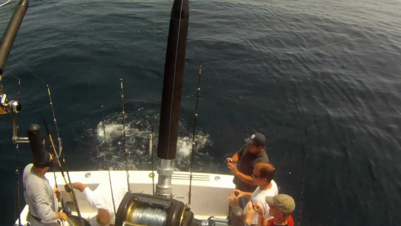 Jun15 Tuna double