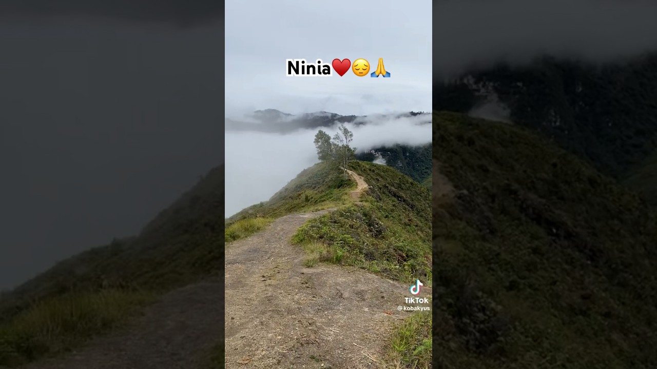 Ninia♥️😔🙏 