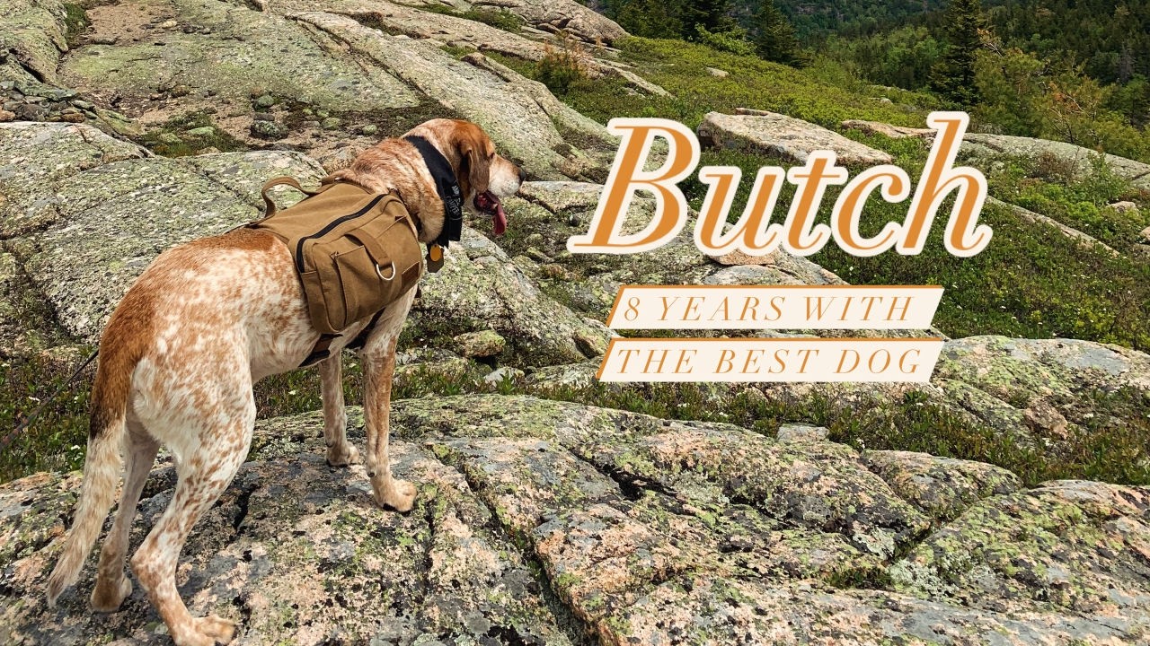 Memorial For Our Dog, Butch
