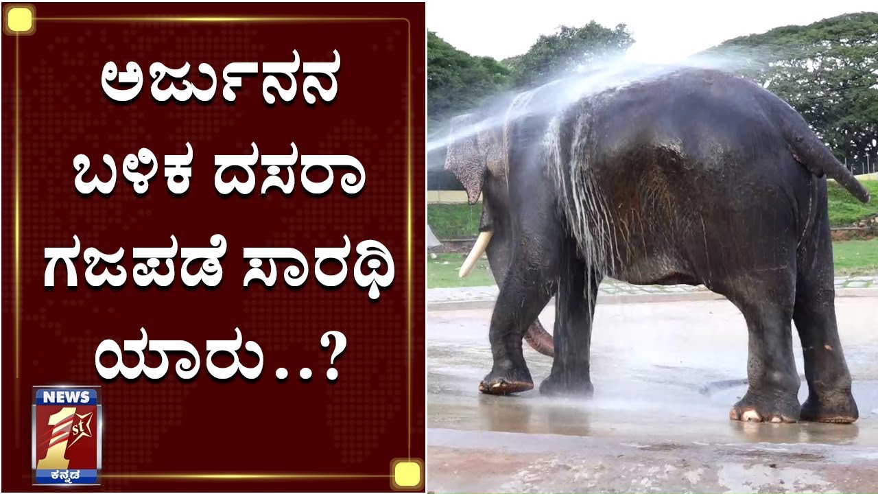 ಗಜಪಡೆಯ ಹೊಸ ಕ್ಯಾಪ್ಟನ್​ ಅಭಿಮನ್ಯು? | Is abhimanyu lead jamboo savari next year?