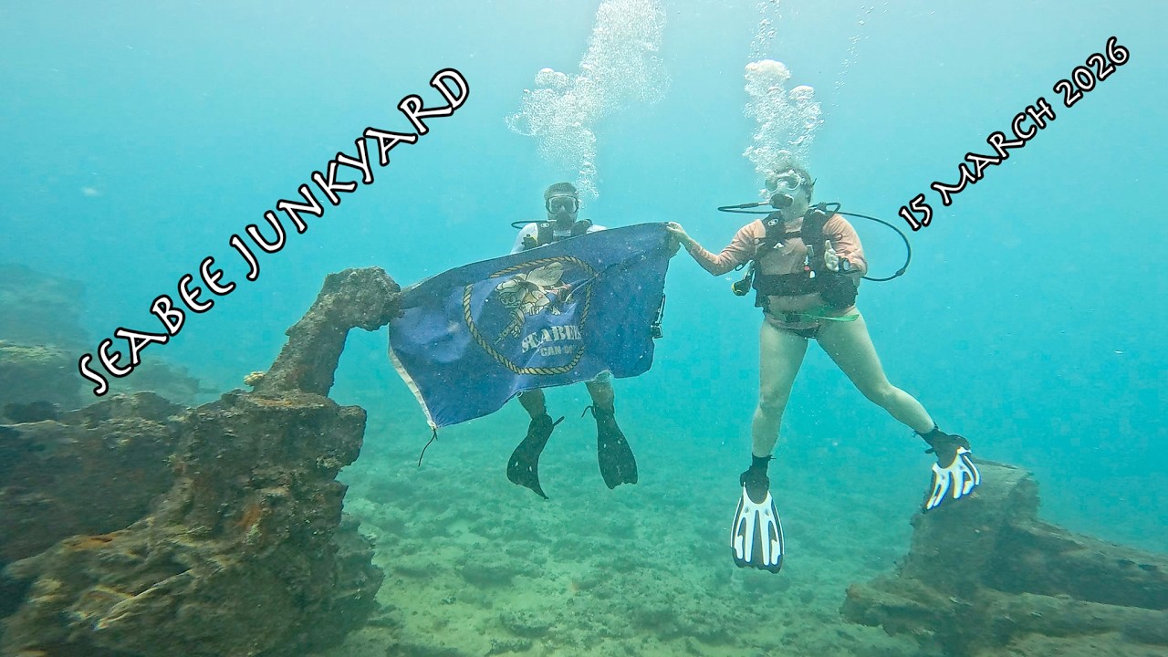 SeaBee Junkyard (15 March 2026)