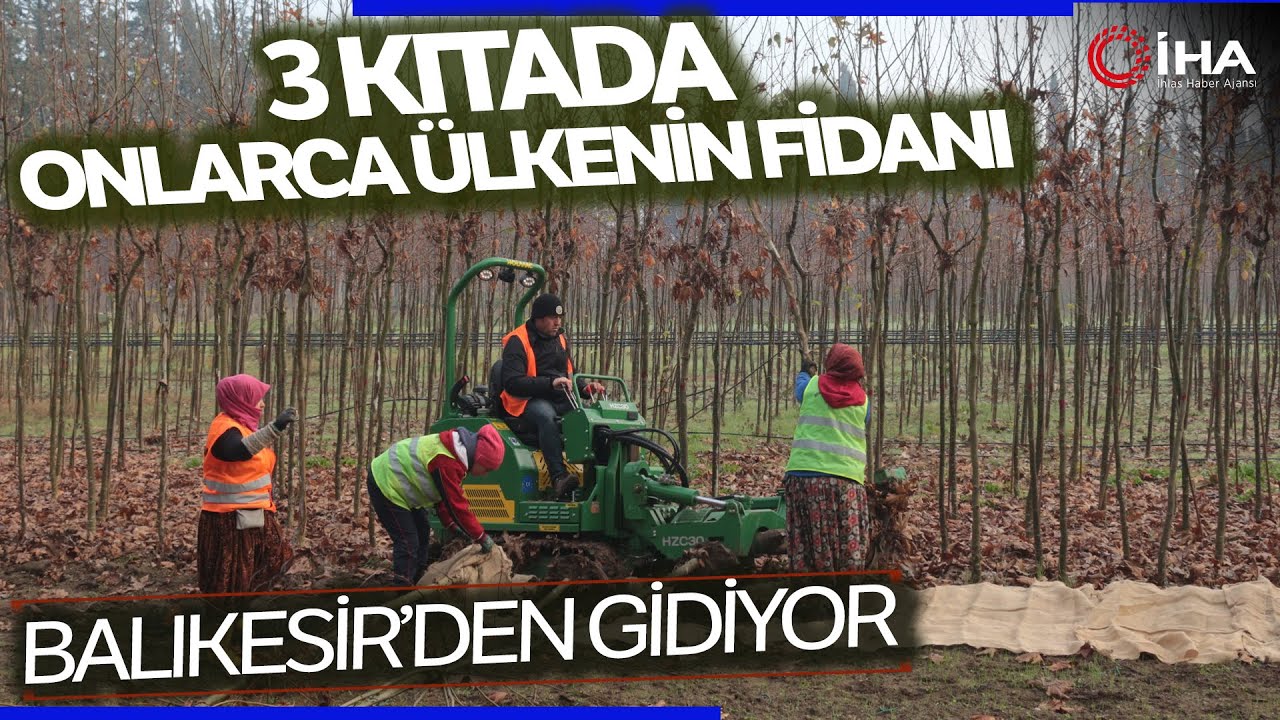 Balıkesir’de Üretilen 11,5 Milyon Fidan Dünyayı Yeşillendiriyor