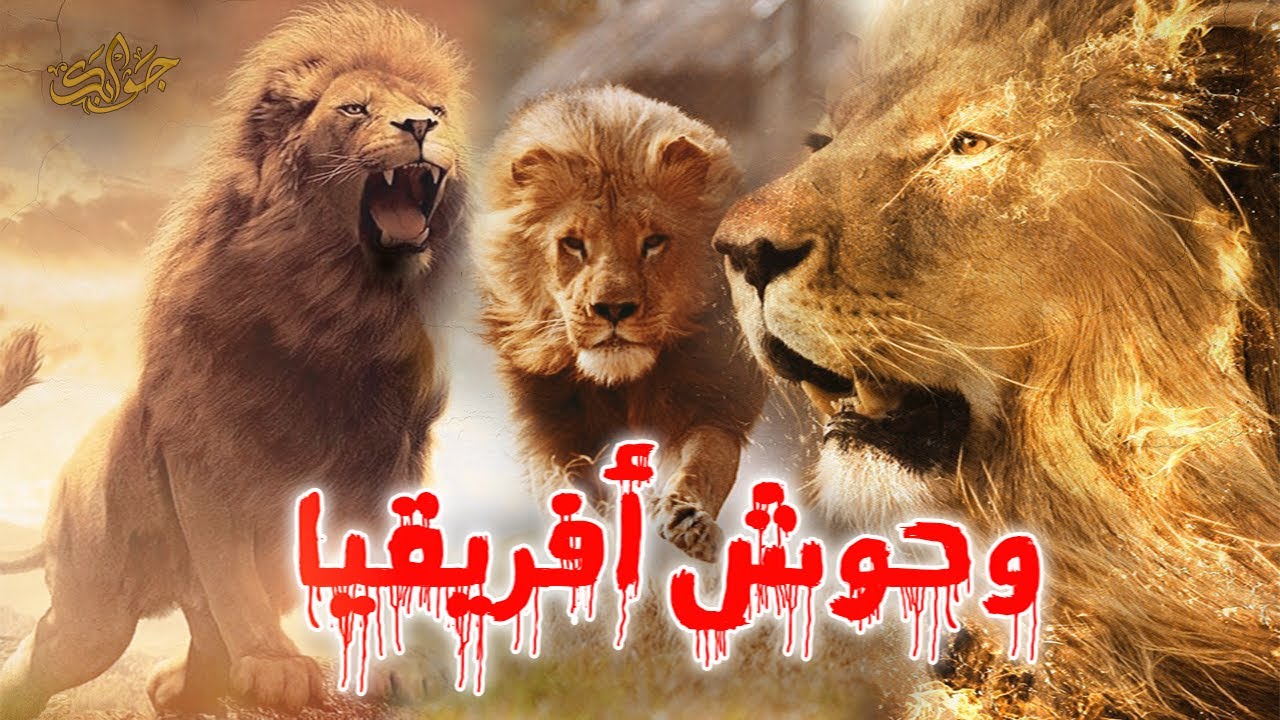 اشرس وأخطر زمرة اسود عبر التاريخ ! .. الزمرة التي قضت علي زمرة المابوغو المتوحشة!