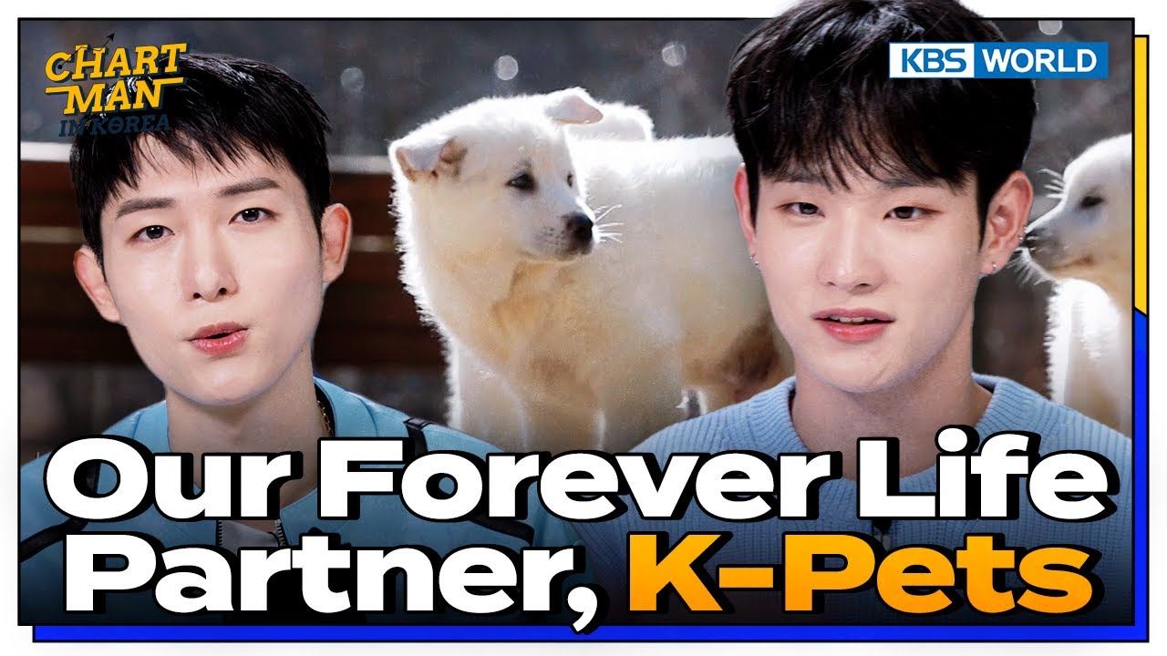 Our Forever Life Partner, K-Pets🐶🐾 [Chartman In Korea : EP:10] | KBS WORLD TV 230908