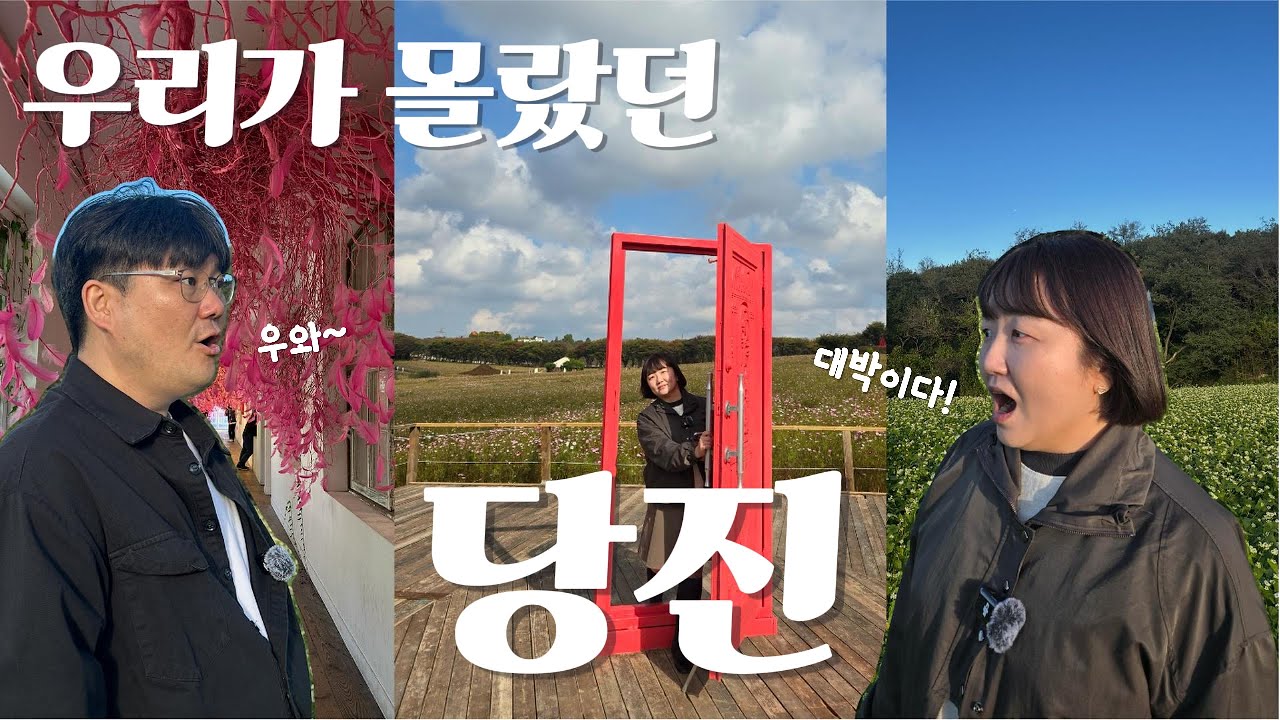 서울근교 당일치기 당진 여행브이로그 | 아그로랜드, 신리성지, 장수꽃게장전문점, 카페피어라, 아미미술관, 조개대표, 삽교호
