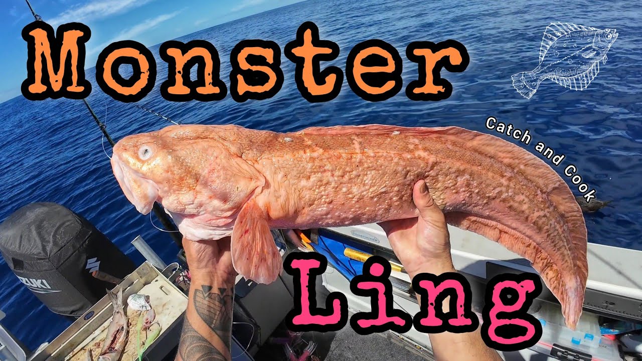 We Dropped 400m&hellip; and Pulled Up THIS Deep Sea Monster!