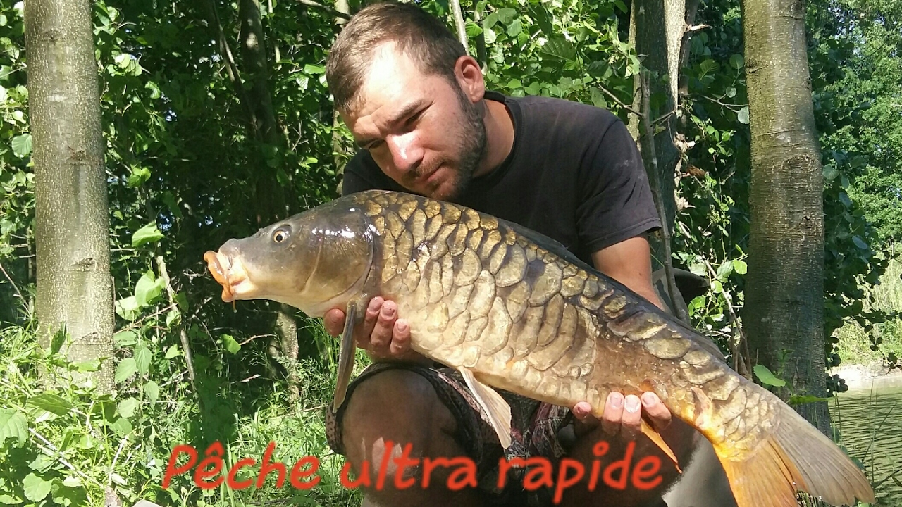 Comment p&ecirc;cher une carpe rapidement! #P&ecirc;che rapide