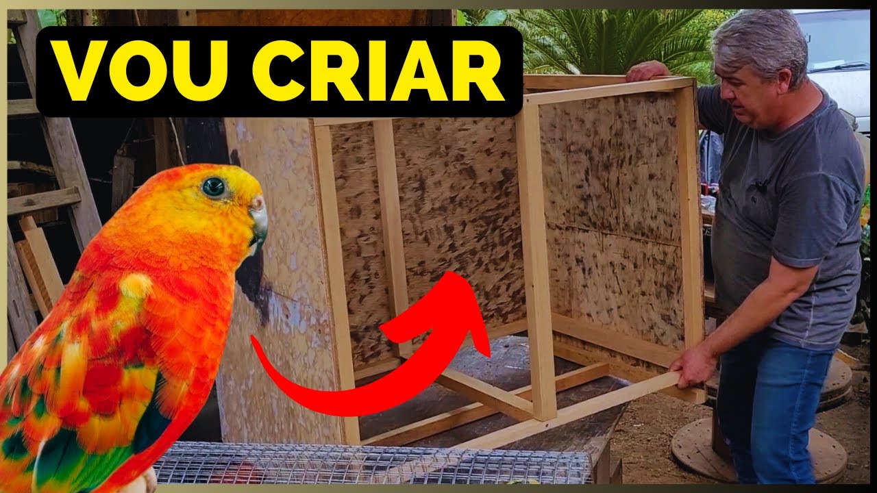 VIVEIRO NOS PADRÕES PROFISSIONAIS | DE MADEIRA