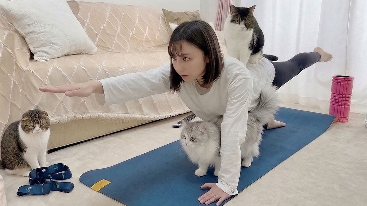大変です&hellip;筋トレを始めたら猫たちが集まって甘えん坊を爆発させてきます！