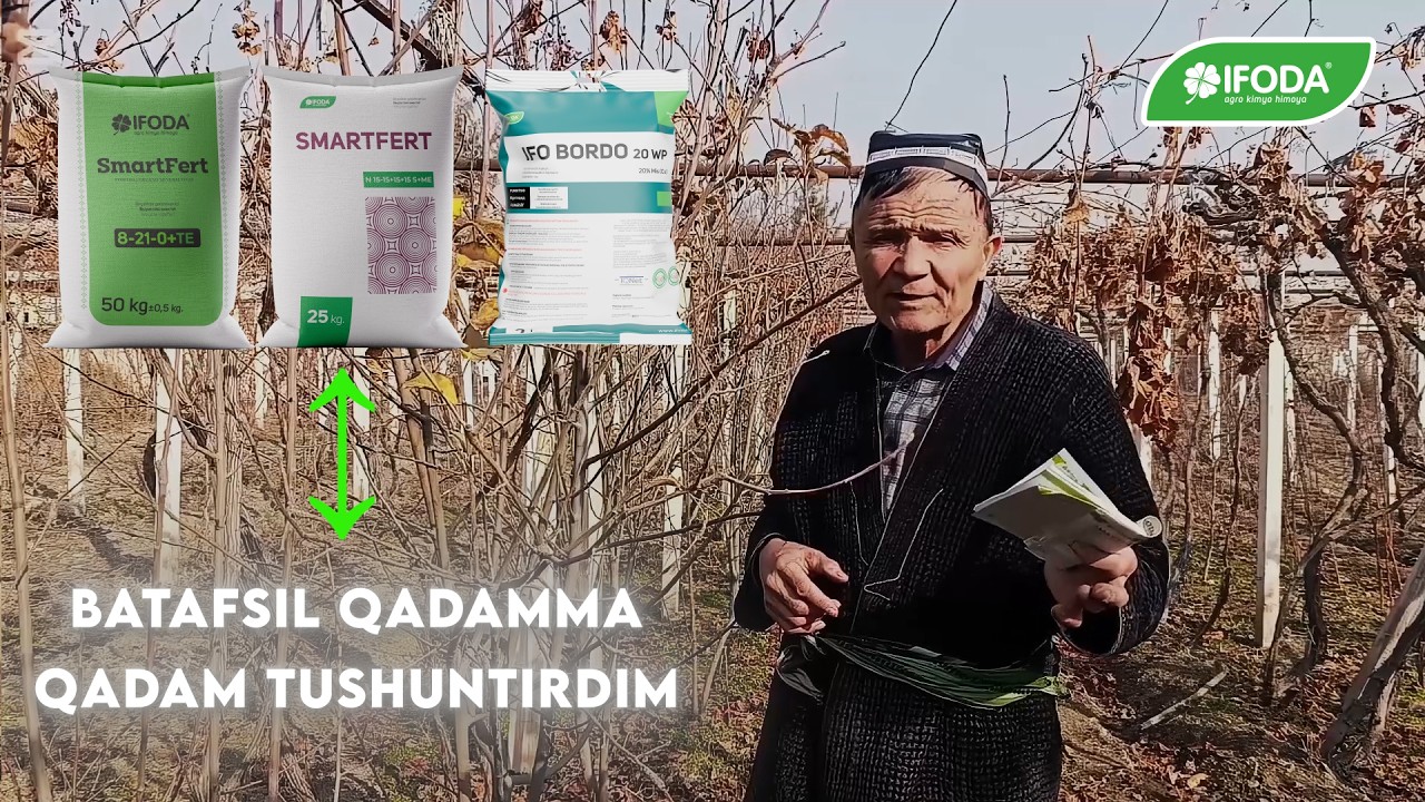 Barchasi Tushuntirildi — O‘g‘itlar Sinovi va Haqiqiy Natija