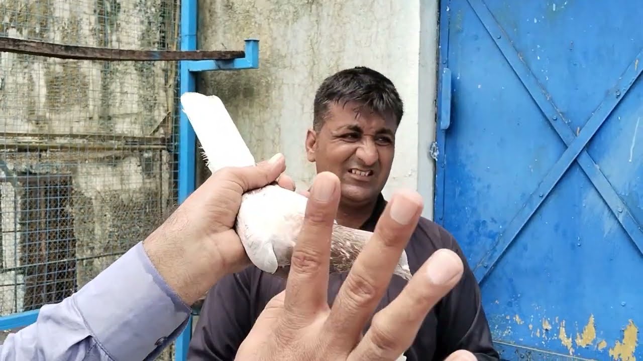 انمول لاکھے جوڑے میرے بزرگوں کی زندگی کا نچوڑ اگر وہ بیمار نہ ہوتے تو وہ ان کا ایک پربھی   نہ دیتے