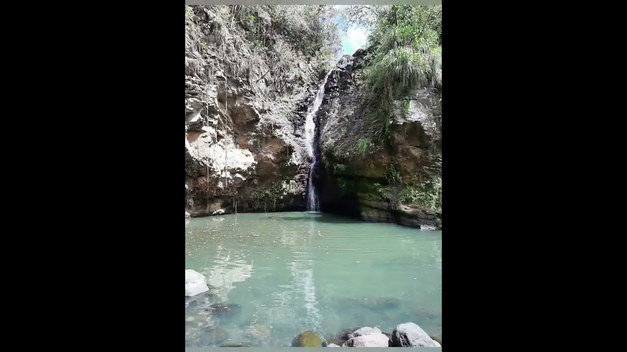 GUADELOUPE - Baillif - Les roches grav&eacute;es du plessis